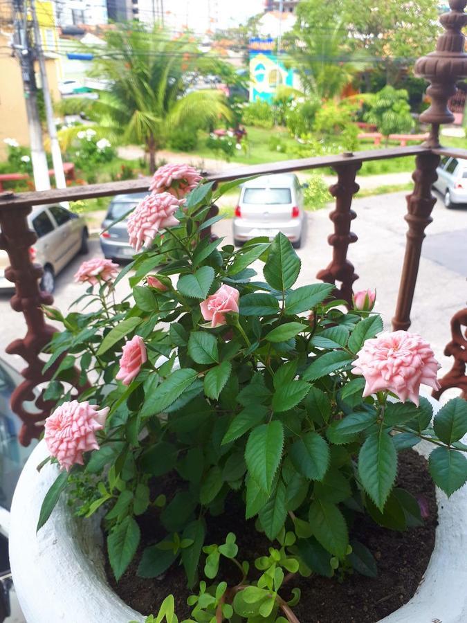 Appartamento Casa Da Josi - Pajucara Maceió Esterno foto
